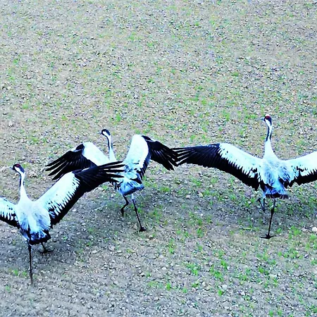 Marina Glamour - 3pok, Widok Na Jezioro, Klimatyzacja, Parking Podziemny, Winda, Netflix Apartamento