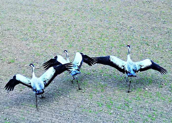 Marina Glamour - 3pok, Widok Na Jezioro, Klimatyzacja, Parking Podziemny, Winda, Netflix Apartment